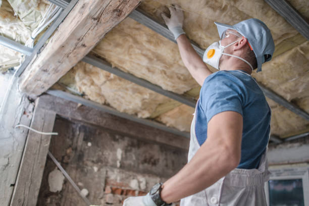 Best Insulation Installation Services in Nocona, TX